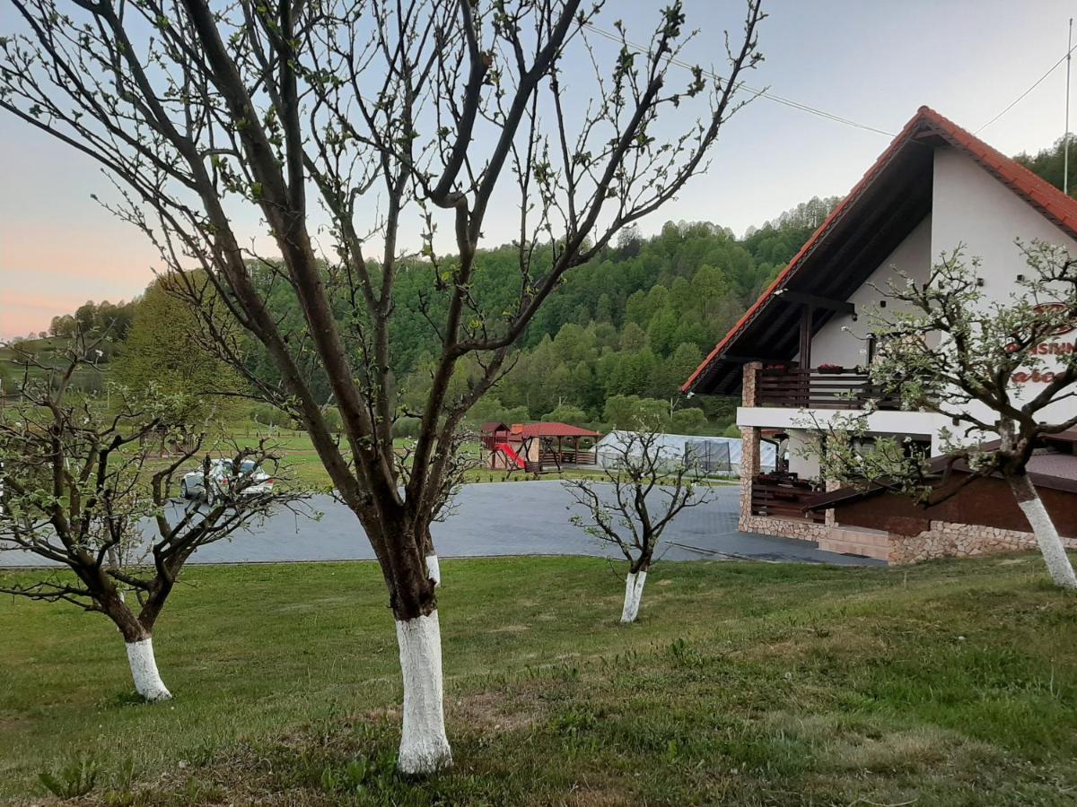 Pensiunea Marceluca Hodosa Dış mekan fotoğraf