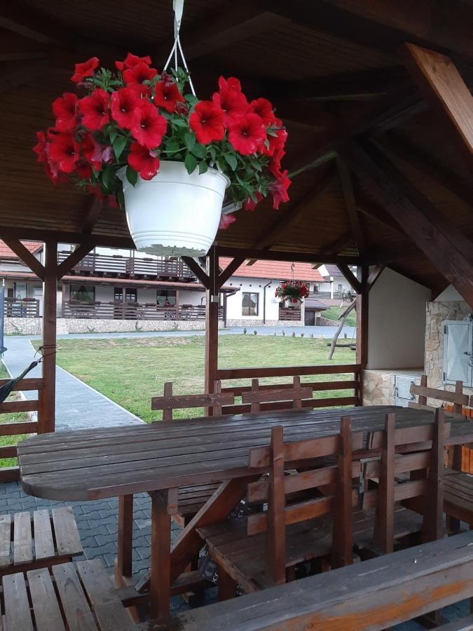 Pensiunea Marceluca Hodosa Dış mekan fotoğraf